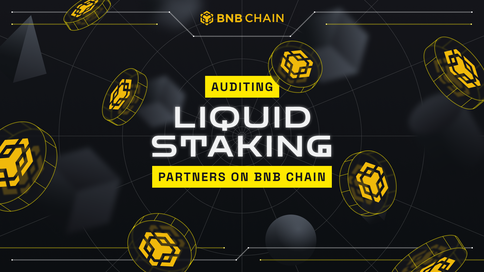 Auditing Liquid Staking Partners on BNB Chain